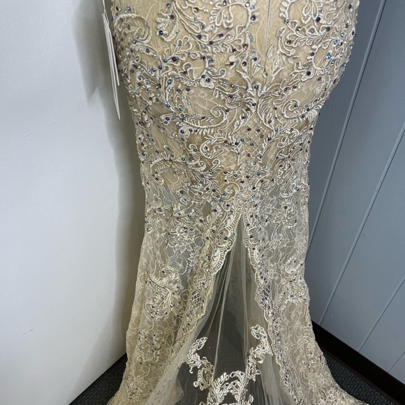 Chic Nude Lace Prom Dress - Picture 11 of 12